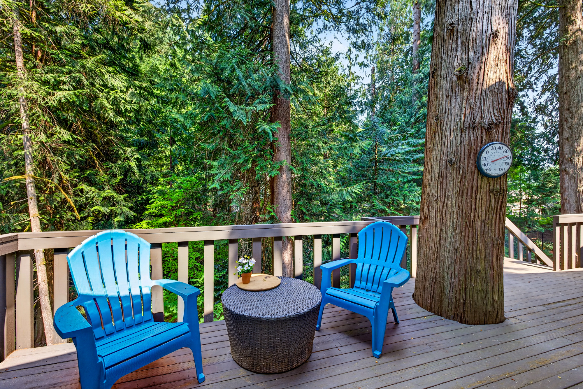 16224 195th Pl NE, Woodinville